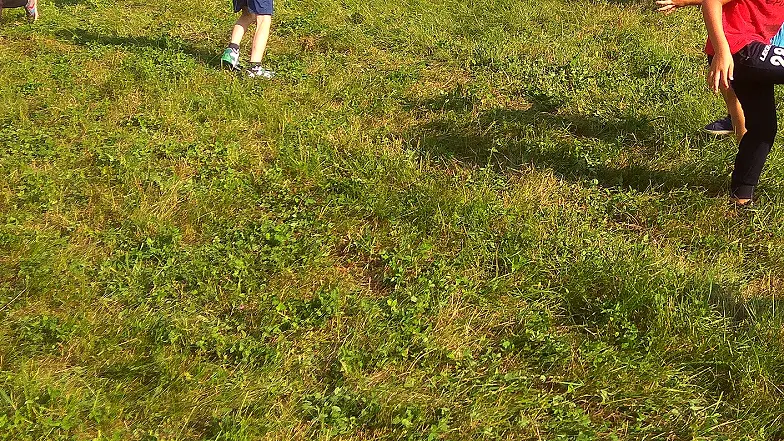 工作人员在看台记录席上整理比赛数据的实拍(事后修正让历史数据与当晚不同)